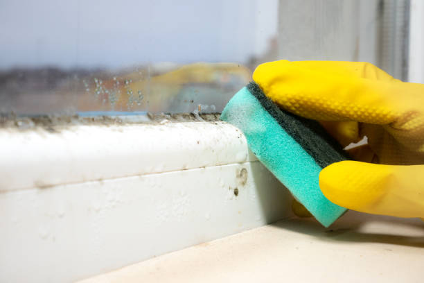 Best Mold Removal Near Me  in Georgiana, AL