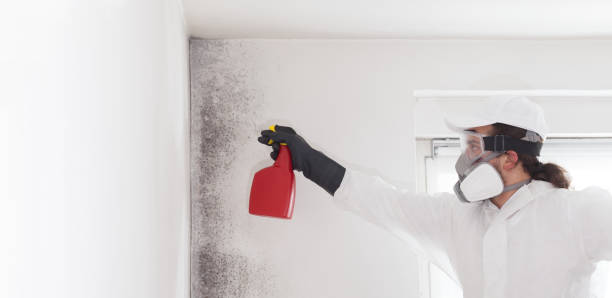 Best Toxic Mold Removal  in Georgiana, AL