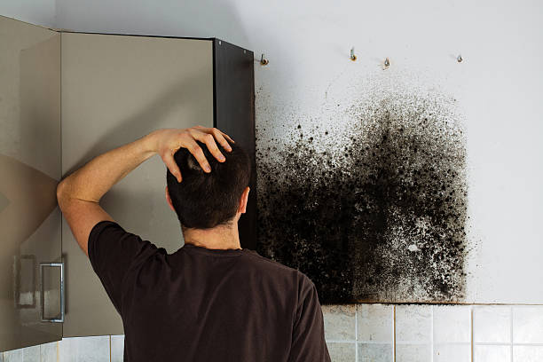 Best Emergency Mold Removal  in Georgiana, AL